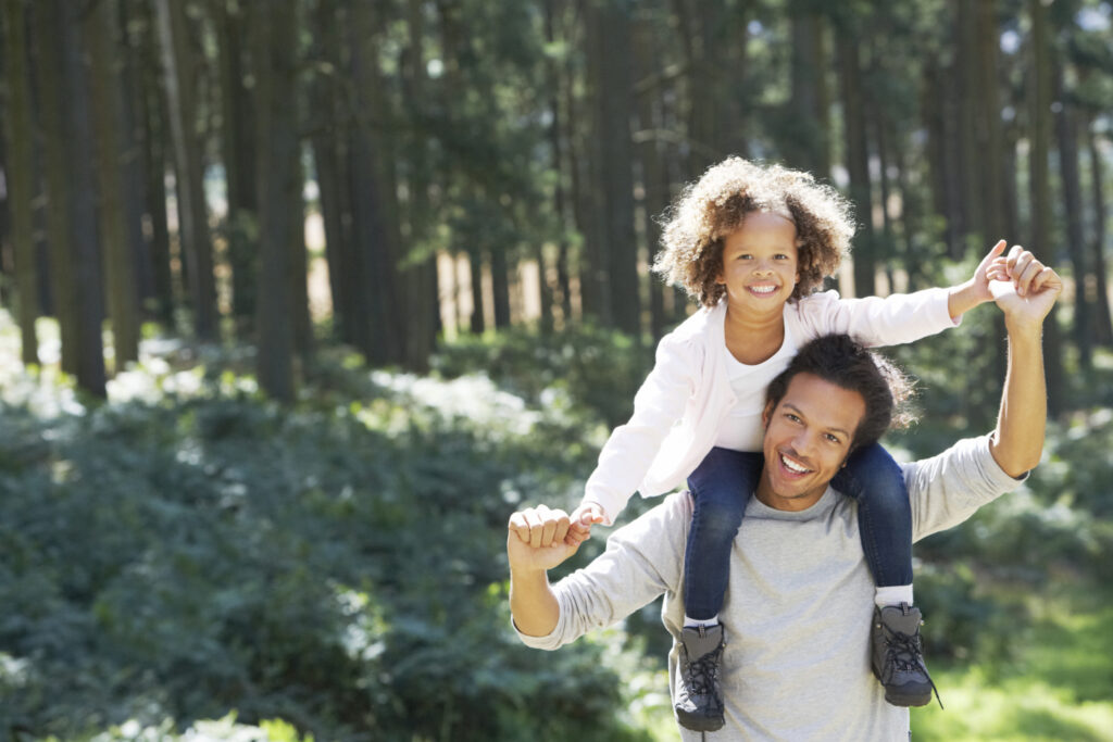 Family Lawyer Dundas